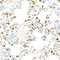 //jrrorwxhrkinlm5p-static.micyjz.com/cloud/llBpjKnjlkSRqippkjlniq/02711d55a73961fcf79f2f01555f73ab-60-60.jpg