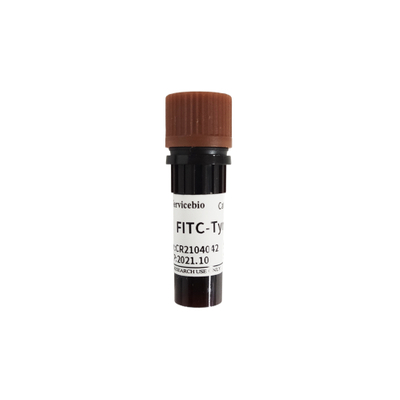 Tyramide सिग्नल प्रवर्धन immunofluorescence अभिकर्मक के लिए FITC-Tyramide